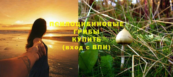 синтетический гашиш Ладушкин