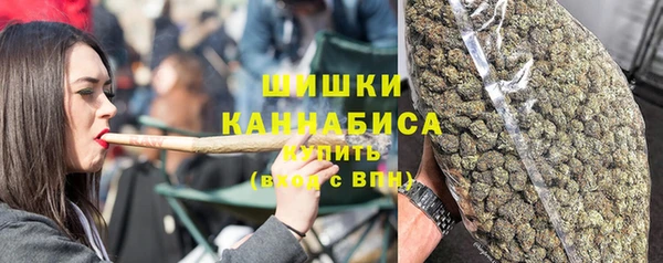 не бодяженный Алапаевск