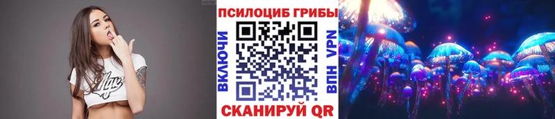 сколько стоит Городовиковск Галлюциногенные грибы Magic Shrooms